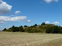 Le tumulus de la Motte de Puytaillé.
