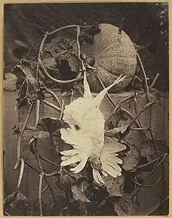 Nature morte avec un poulet mort, vers. 1855