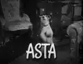Asta