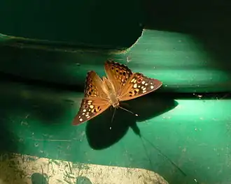 Description de cette image, également commentée ci-après