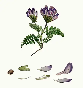 Description de cette image, également commentée ci-après