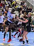 Avec Brest Bretagne Handball (2017)