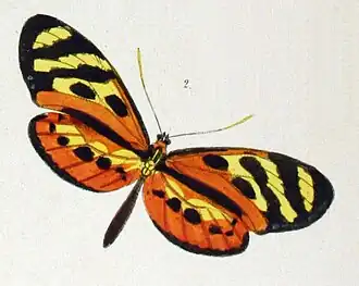 Description de cette image, également commentée ci-après