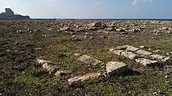 Pierres éparpillées dans un champ d'assez grande surface, situé à proximité des ruines d'un château, au bord de la mer.