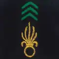 Légion étrangère - Infanterie et génie