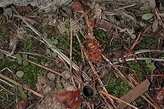 Description de cette image, également commentée ci-après