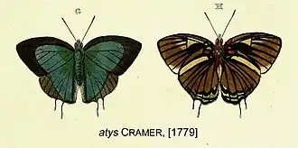 Description de l'image AtysCramer1779OD.jpg.