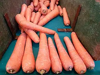 Image illustrative de l’article Carotte de Créances