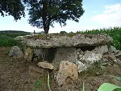 L'allée couverte du Colombier.