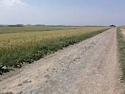 La chaussée de Préseau vers Aulnoy-lez-Valenciennes