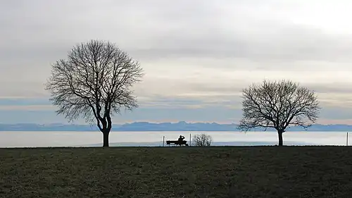 Contre jour où deux arbres en hiver se détachent devant un horizon fait d'une chaine de montagnes.
