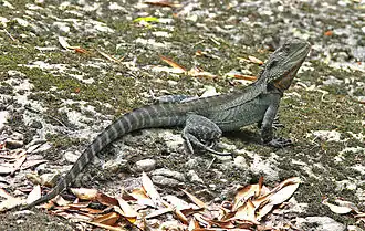 Description de cette image, également commentée ci-après