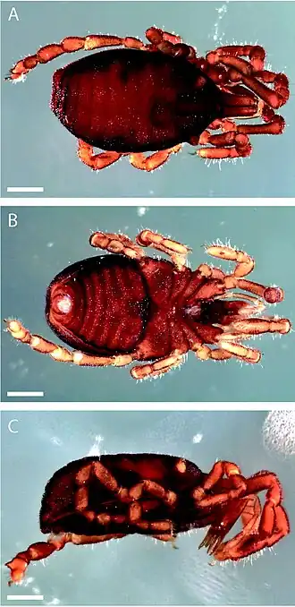 Description de cette image, également commentée ci-après