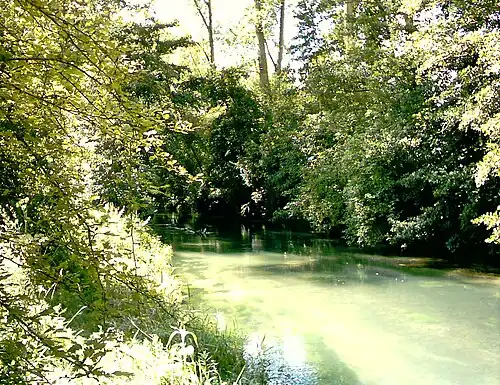 L'Authie à Frohen-sur-Authie.