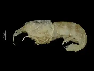 Description de cette image, également commentée ci-après