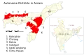 Districts « autonomes » de l'Assam (2015)