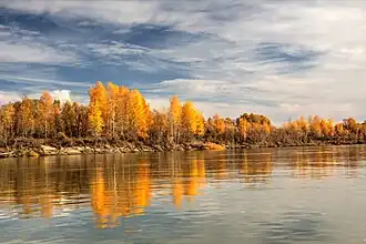 Raïon de Bystry Isstok