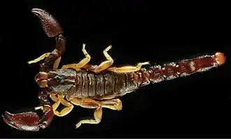 Description de cette image, également commentée ci-après