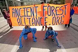 Deux personnes entièrement peintes en bleu sont accroupies devant un panneau orange avec portant l’inscription «&nbsp;Ancient Forest Alliance&nbsp;».