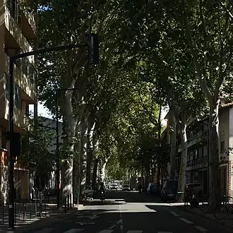 Image illustrative de l’article Avenue Paul-Crampel