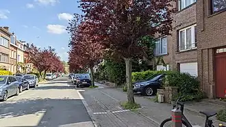 Image illustrative de l’article Avenue Théo Vanpé