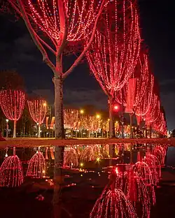 Autre illuminations de Noël sur l'avenue (décembre 2020).
