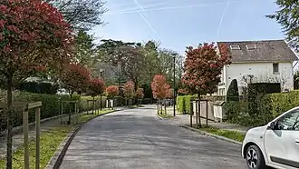 Image illustrative de l’article Avenue des Fougères