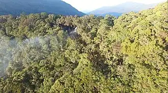 Prise de vue aérienne du site de crash du vol 7503