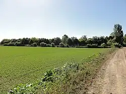 Vue vers le carreau de fosse.