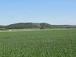 Le terril n° 75 de Pinchonvalles.