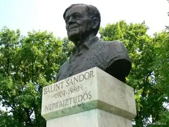 Buste de  Márton Kalmár&nbsp;(hu) sur la place du Roi Matthias à Szeged