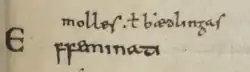 Un extrait d'une page de manuscrit portant quelques mots à l'encre noire