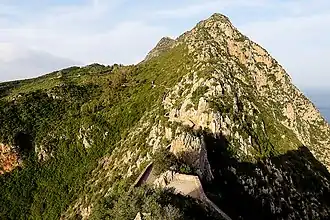 Vue du pic des Singes.