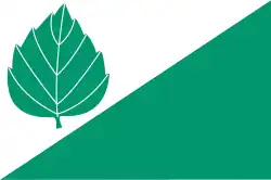 Drapeau de Březina (Tišnov)