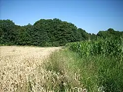 Montignies-Saint-Christophe, chaussée Brunehaut arrivant sur la vallée de la Hantes