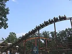 Harley Quinn Crazy Train