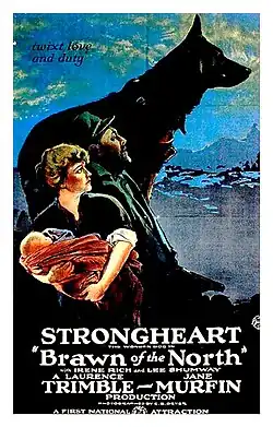 Brawn of the North poster