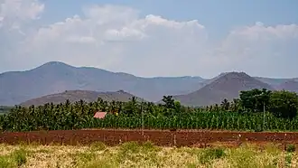 District de Chamarajanagar