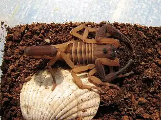 Description de cette image, également commentée ci-après