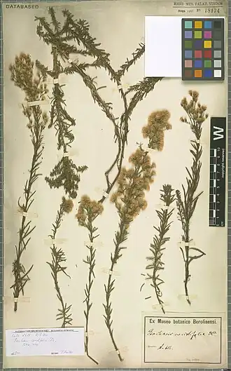 Description de cette image, également commentée ci-après