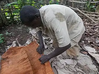 Image illustrative de l’article Tissu d'écorce ougandais