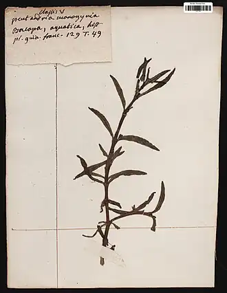 Description de cette image, également commentée ci-après