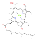 Bactériochlorophylle e