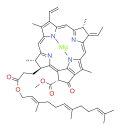 Bactériochlorophylle g
