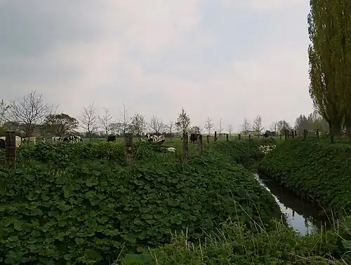 La Meteren becque à Outtersteene (Bailleul-Nord).