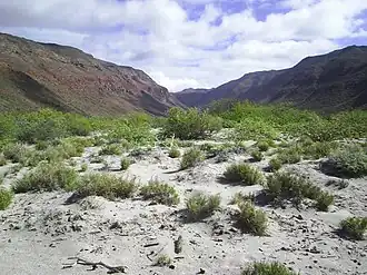 Description de l'image Baja California Sur (21656389549).jpg.