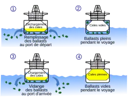 Principe de l'utilisation des ballasts.