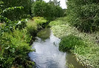 Le cours d'eau Bällstaån.