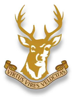 Logo du Ballynahinch RFC