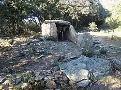 Vue du dolmen et de son tumulus depuis le sud.